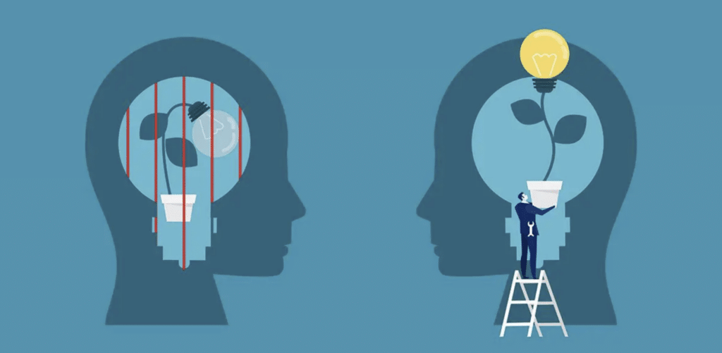 Conceptual image of creating a growth mindset. In two images of the mind, represented by faces in silhouette, there are plants with lightbulbs instead of flowers. In one, there are red bars representing blockage. In the other, the lightbulb is on representing an effective mindset.